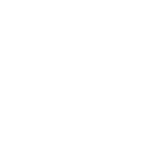 Apple Logo