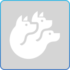cerby last identity mile logo