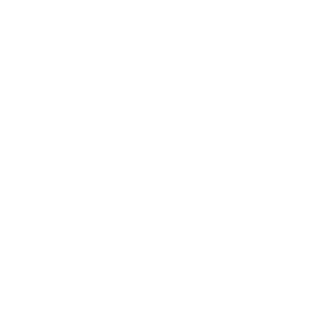 Meta Logo
