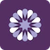 SocialFlow