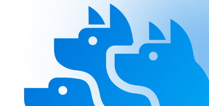 Reports-banner-compressed