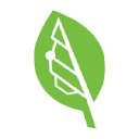 Bigleaf logo