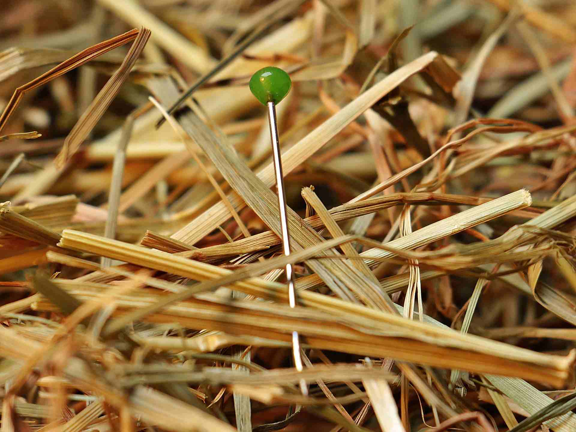 need in a haystack